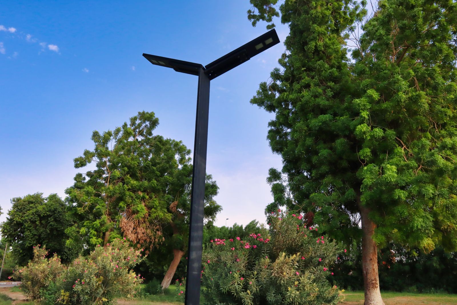 Street Lights 50/60 watt