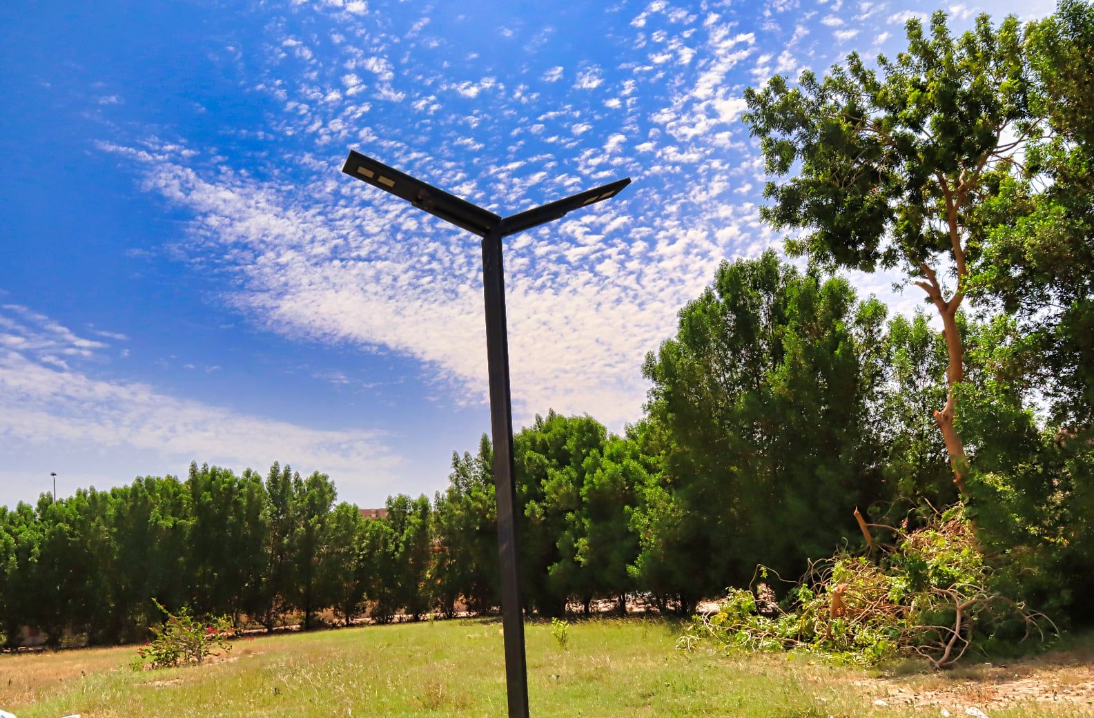 Street Lights 50/60 watt