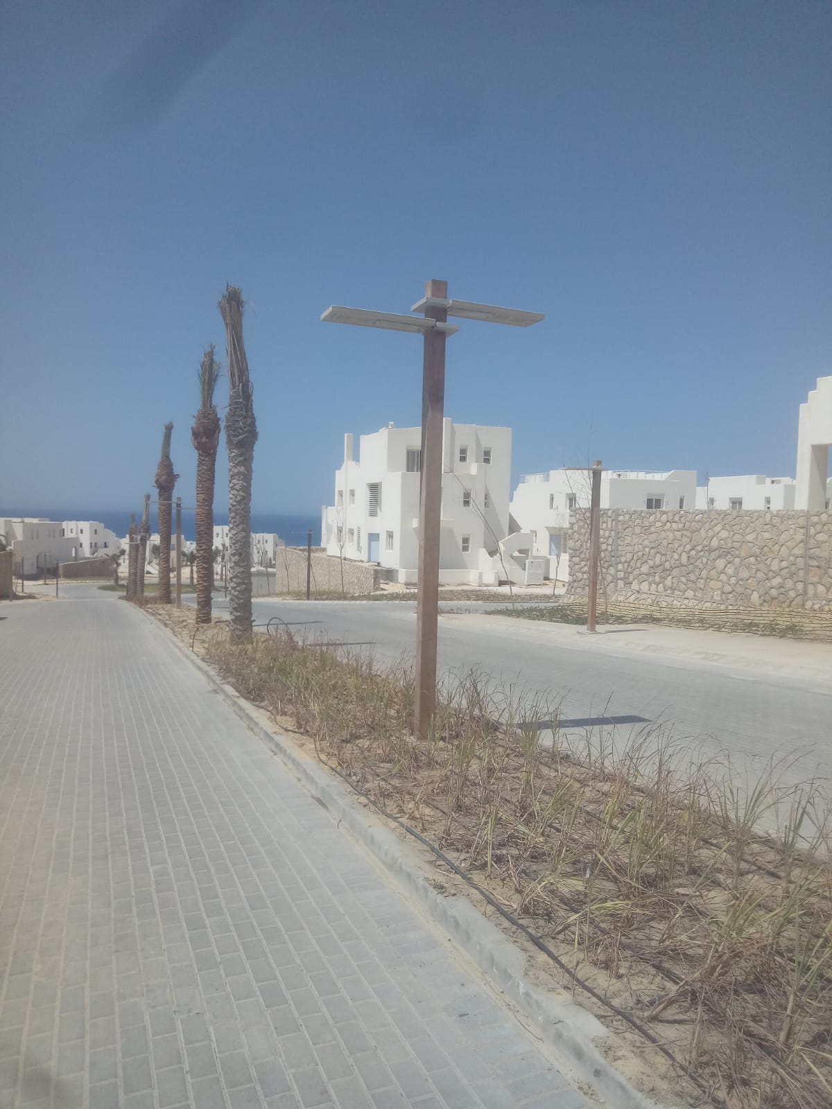 Wooden Street Lights