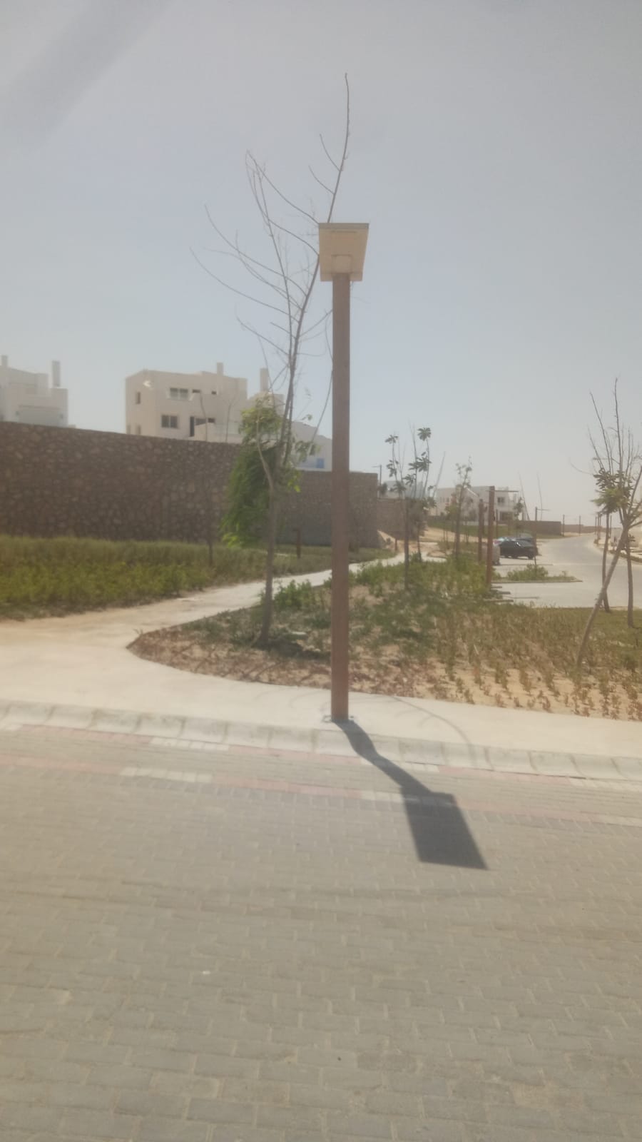 Wooden Street Lights